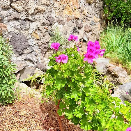 Сasa de vacaciones Polinarias Casa Cueva En Fasnia *